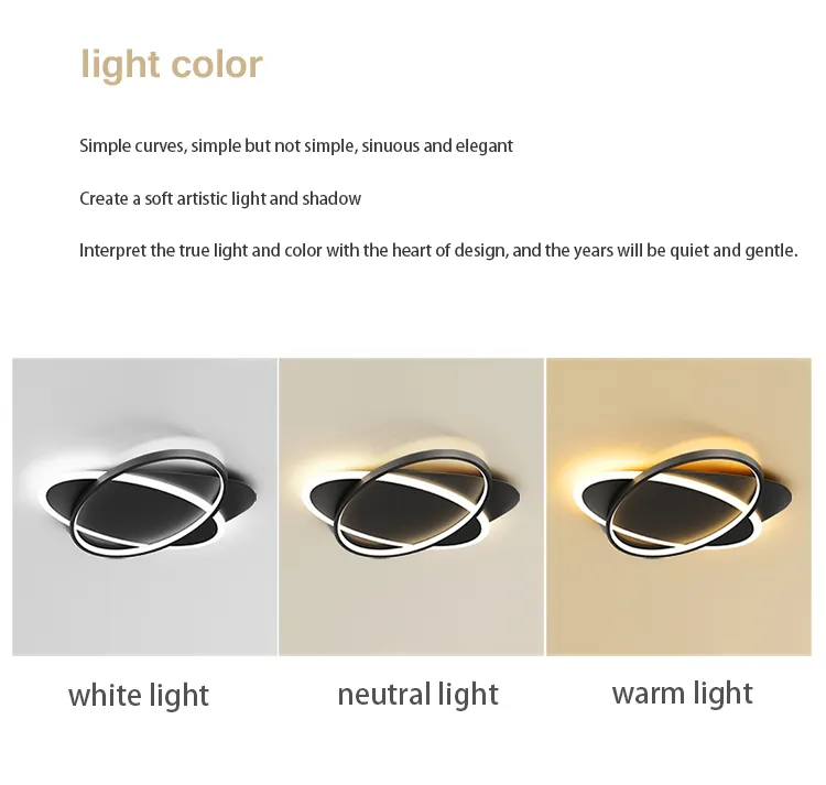 modern snklighting ceiling light A-8655 (13)