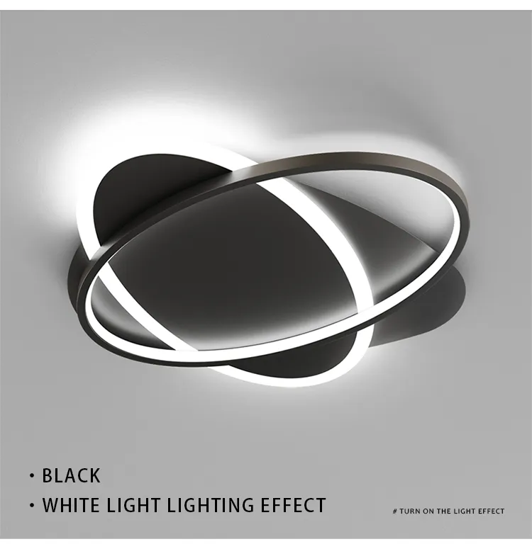 modern snklighting ceiling light A-8655 (16)